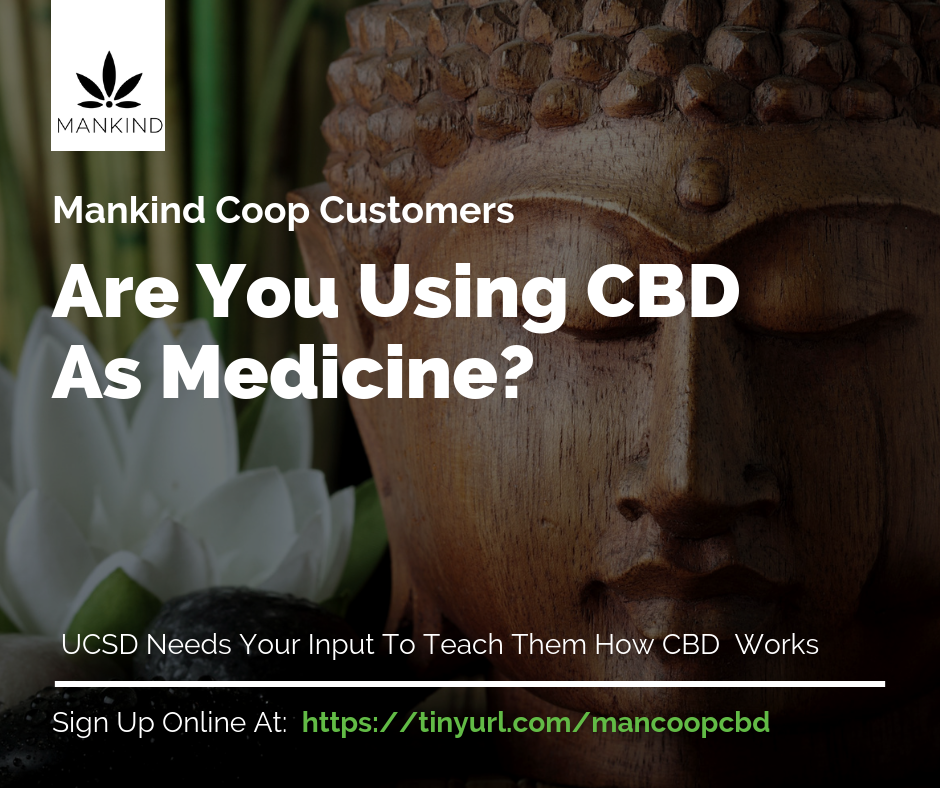 Are You Using CBD As Medicine?