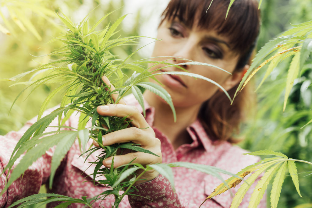 woman-cannabis-grow-california